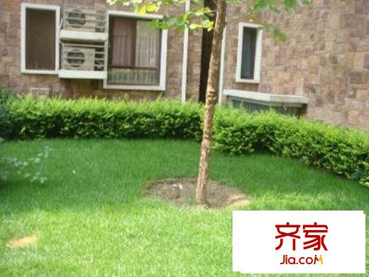 溪水花园外景图绿化