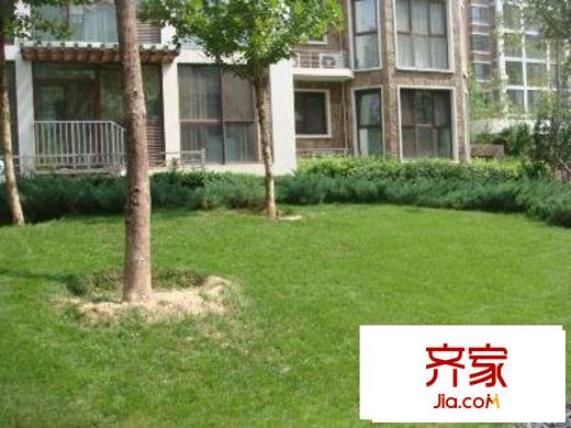 溪水花园外景图绿化