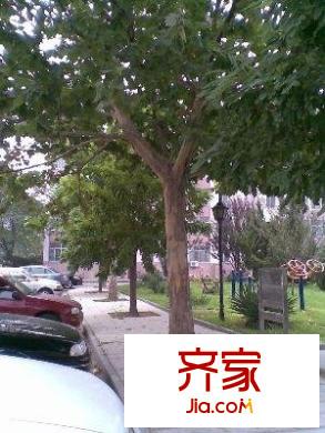 华典家园外景图街道