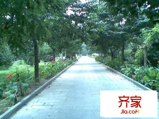 华典家园外景图街道