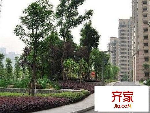 雅丽世居外景图道路