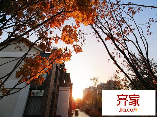 中粮祥云国际生活区园林2013.11