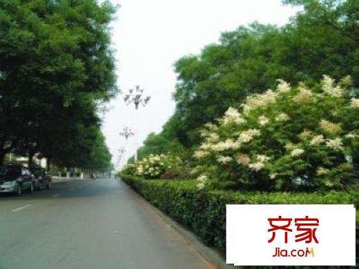 雅丽世居外景图道路