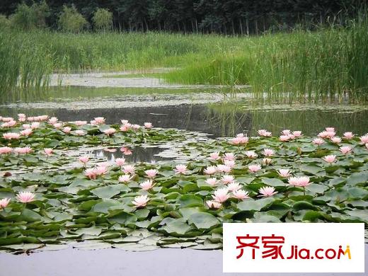顺鑫山语溪配套图周边配套――汉石桥湿地公园