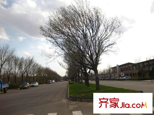 龙湾别墅配套图周边道路配套