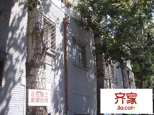 大乘巷胡同外景圖小區(qū)綠化