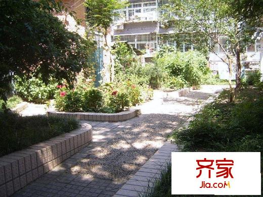 大乘巷胡同外景圖小區(qū)綠化