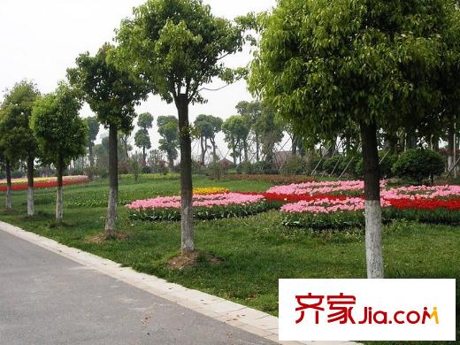 顺鑫朗郡配套图周边配套―国际鲜花港