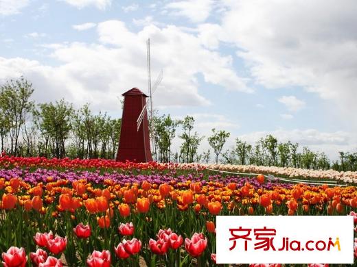 顺鑫朗郡配套图周边配套―国际鲜花港