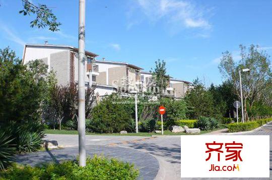 龙湾别墅实景图园林2010.6