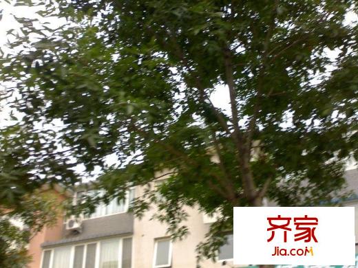 风景翠园外景图近景图