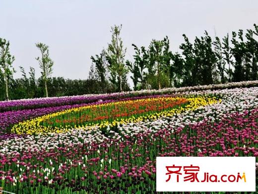 顺鑫朗郡配套图周边配套―国际鲜花港