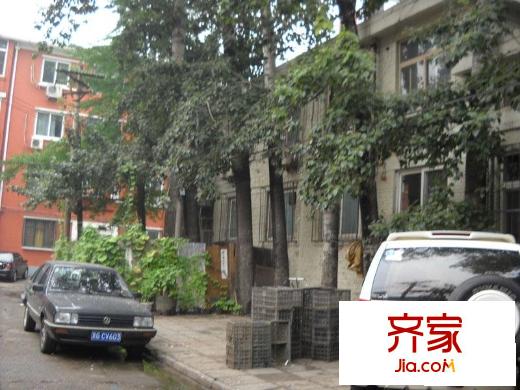 月壇北小街外景圖小樹