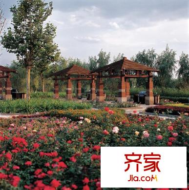 阿凯笛亚庄园实景图园区200911
