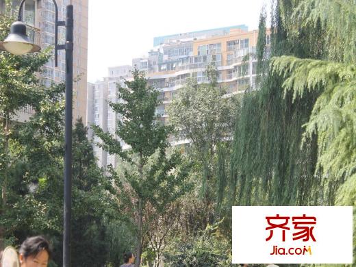 朗琴園外景圖 