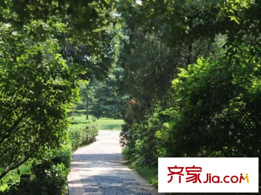 朗琴園配套圖 周邊配套