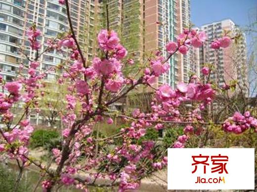 慧时欣园一期外景图