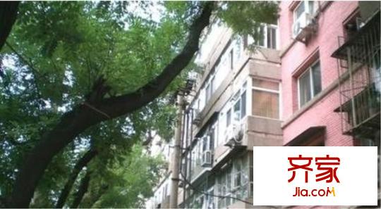 北新桥三条外景图