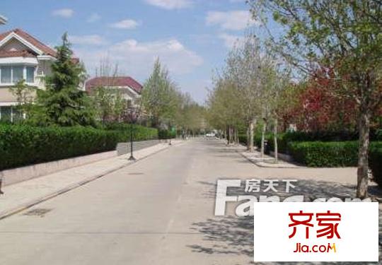 金宝纯别墅外景图