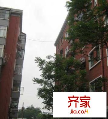 東經(jīng)路19號(hào)院外景圖