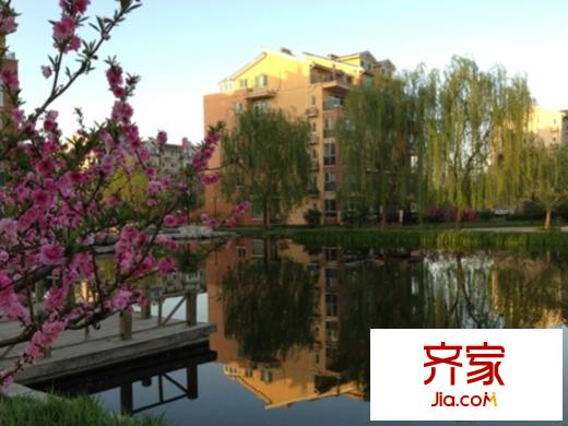 桃花源外景图楼座2013.05.10
