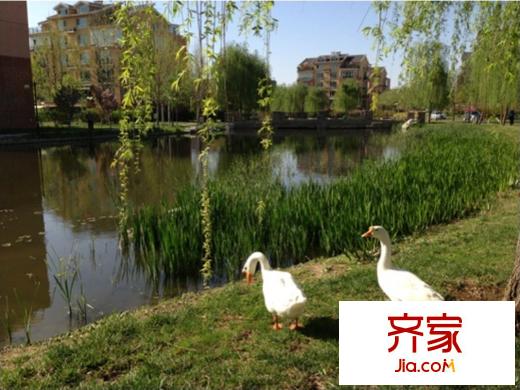 桃花源实景图园林2013.05.10