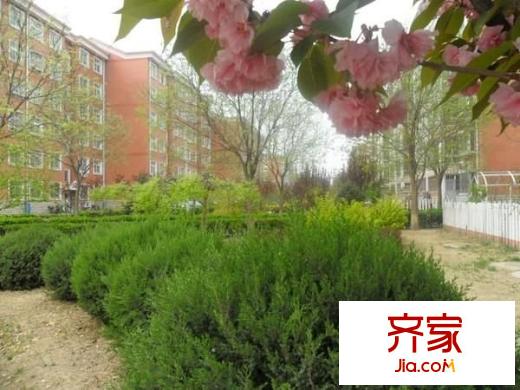 马坡花园外景图