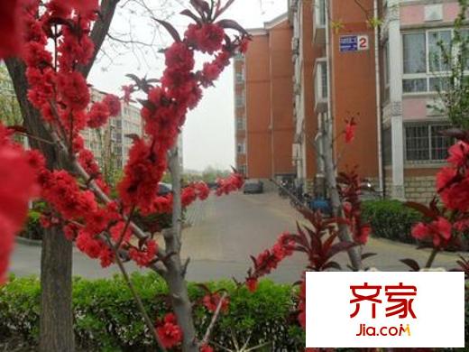 马坡花园外景图