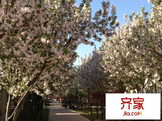 桃花源实景图园林2013.05.10