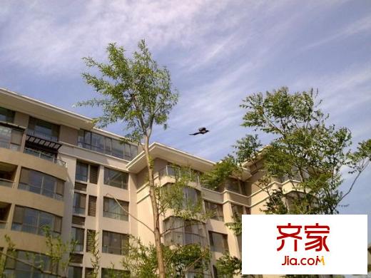 保利西山林語(yǔ)外景圖 