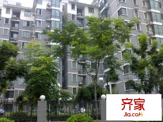 新新天第外景图实景图