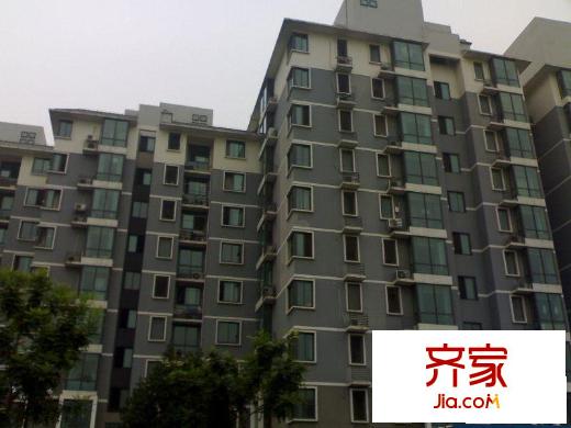 新新天第外景图实景图