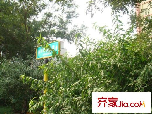 国旺胡同配套图绿化图