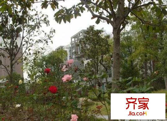 龍馨茗園