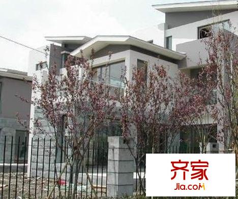 中科大學(xué)村外景圖上海