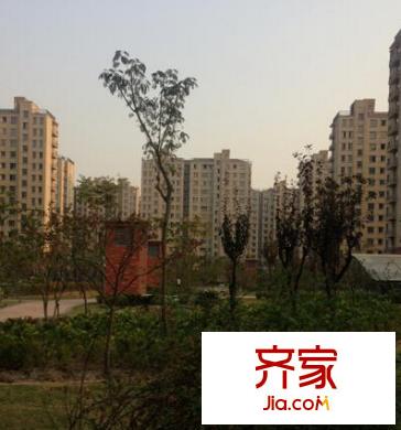 唐豐苑外景圖