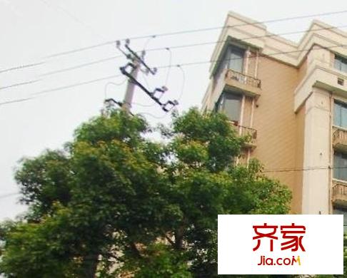 點睛苑外景圖上海