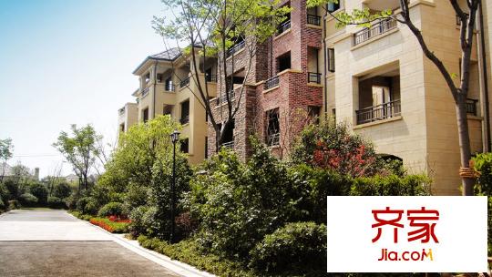 萊茵美墅實景圖 (2011.8)