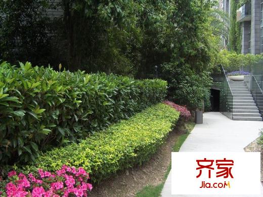 中邦晶座