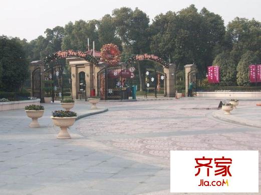 云間綠大地外景圖 