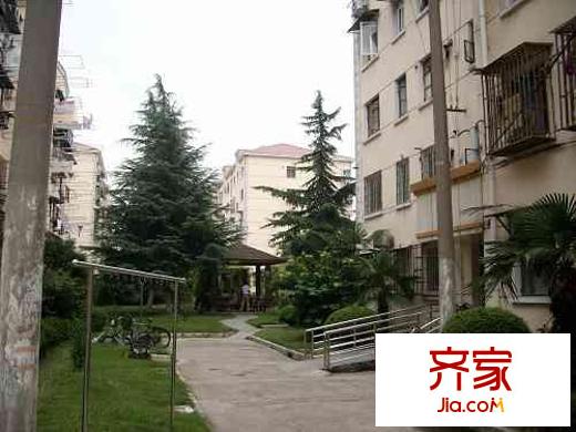 巨東
