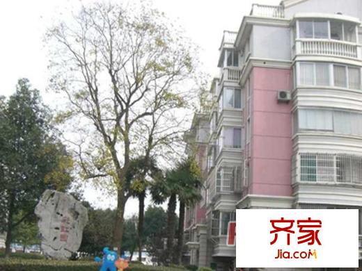 彩虹園外景圖