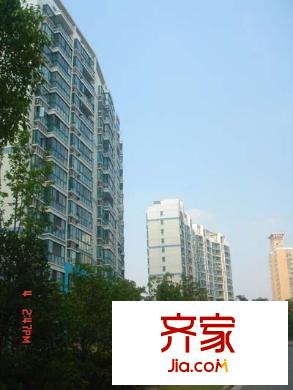 中梅苑外景图上海