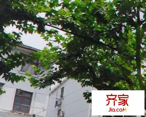 乳山二村外景圖