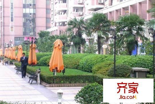 鹿特丹花园外景图