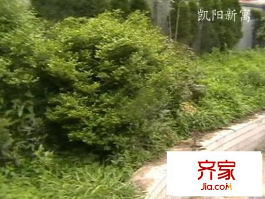 凯阳新寓外景图