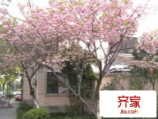 園西二居外景圖上海  