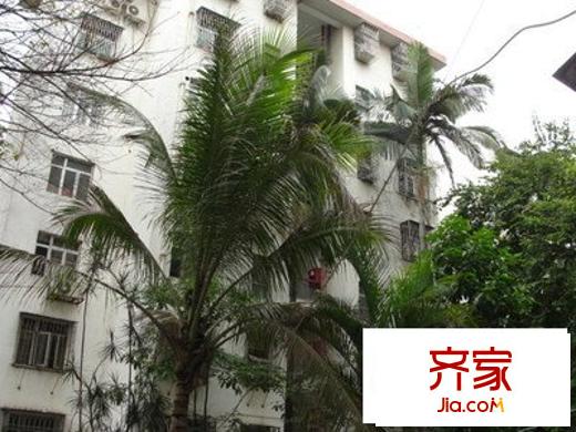 體委宿舍外景圖