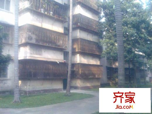 電視臺宿舍外景圖小區(qū)相關(guān)圖_8
