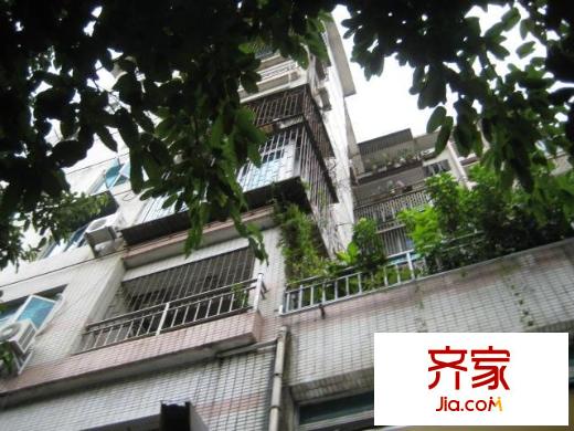 金湖花園B區(qū)外景圖小區(qū)相關圖_2